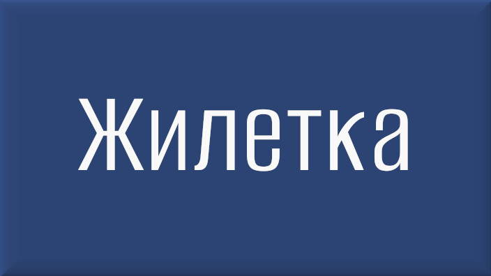 Лев Николаевич Толстой. Рассказ. Жилетка. Видео.
